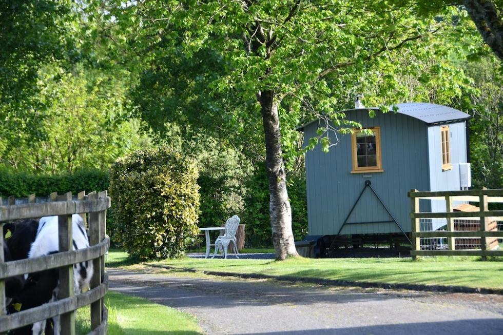 The Shepherds Hut Carmarthen Extérieur photo